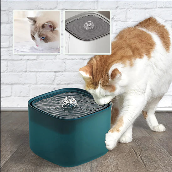 Fontaine à Eau pour Chat 3 L – USB