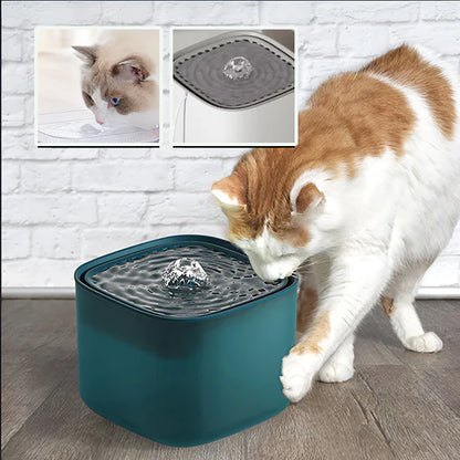 Fontaine à Eau pour Chat 3 L – USB