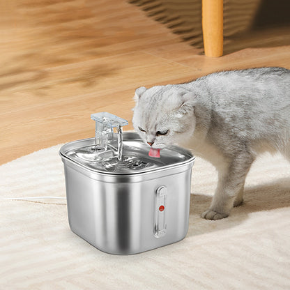 fontaine a eau pour chat remarquable