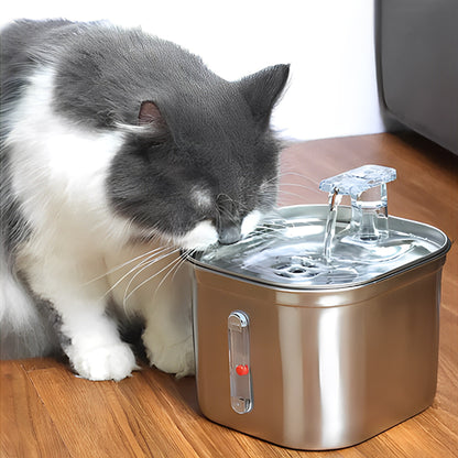 fontaine a eau pour chat sublime