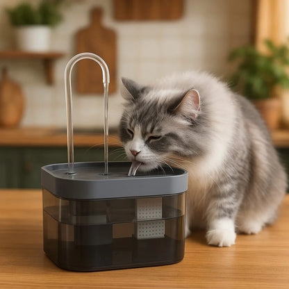 Fontaine eau chat | Néroa™