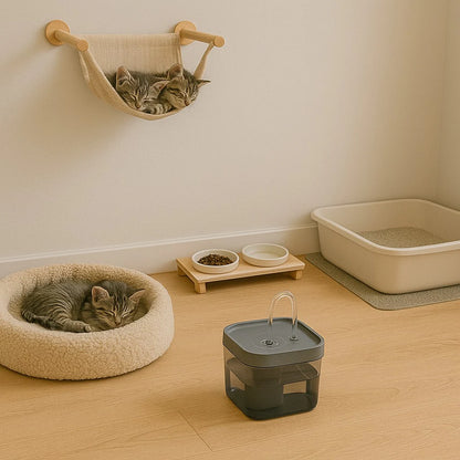 Fontaine eau chat | Néroa™