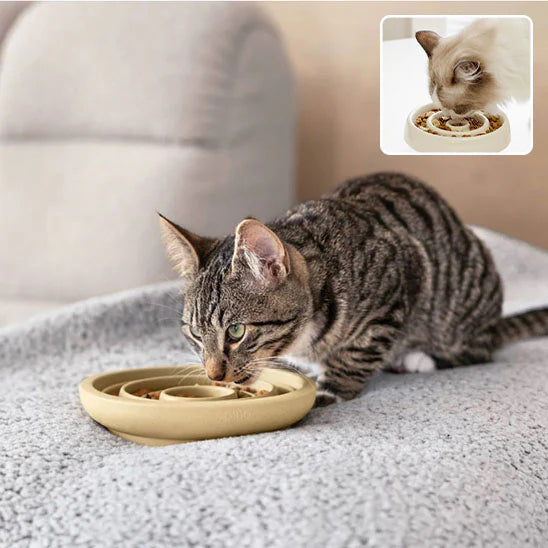 Mon Jolie Chat Gamelle Anti-Glouton en Céramique