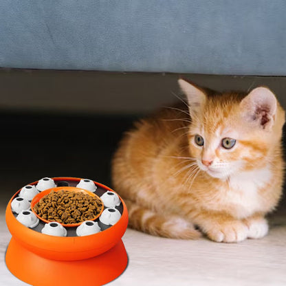 gamelle anti glouton avec un chaton