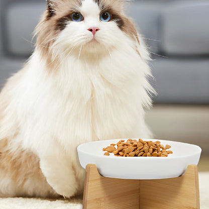 gamelle anti glouton beau