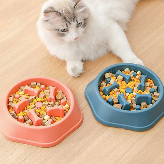 gamelle anti glouton chat avec chat blanc