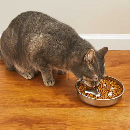 gamelle anti glouton chat concu pour chat gourmant