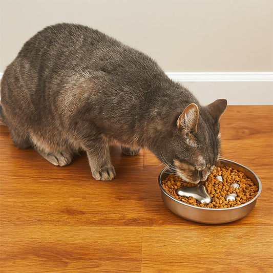 gamelle anti glouton chat concu pour chat gourmant