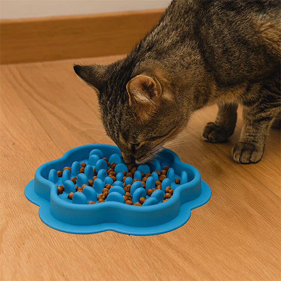 Gamelle anti-glouton fleur pour chat – silicone