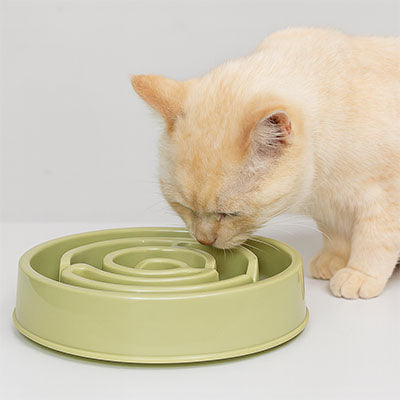 gamelle anti glouton chat mignon vert