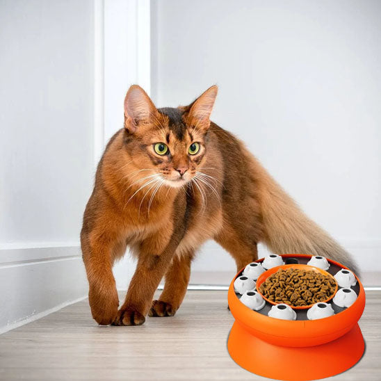 gamelle anti glouton digestion efficace