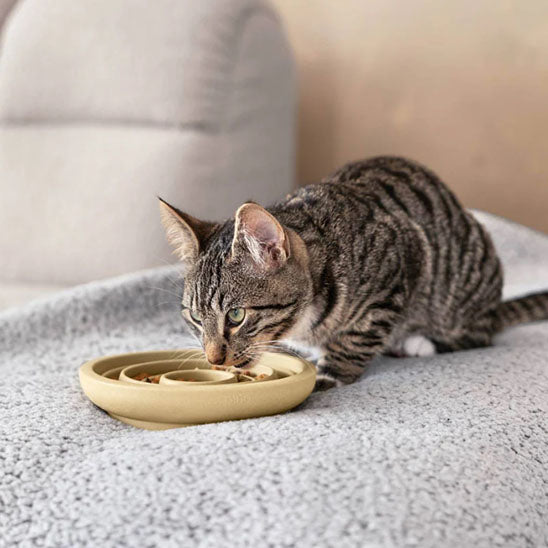 gamelle anti glouton jaune ronde