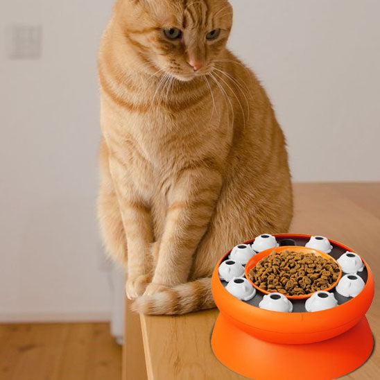 gamelle anti glouton pour bonne digestion