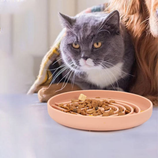 gamelle anti glouton pratique et de qualite