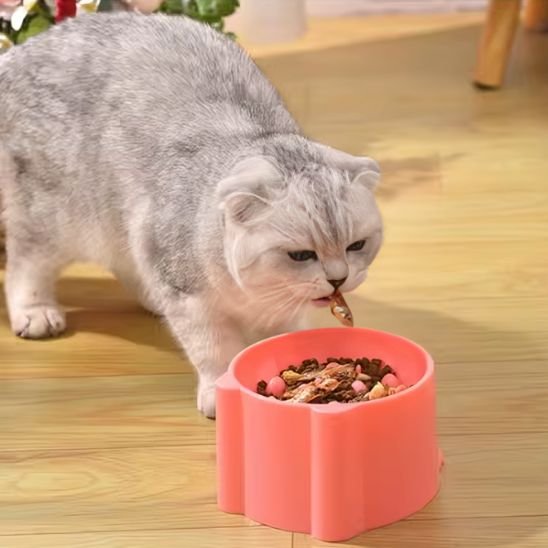 gamelle anti glouton rose avec chat