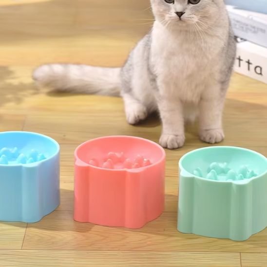 gamelle anti glouton trio