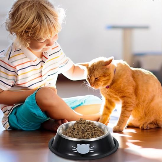 gamelle chat avec un enfant et un chat