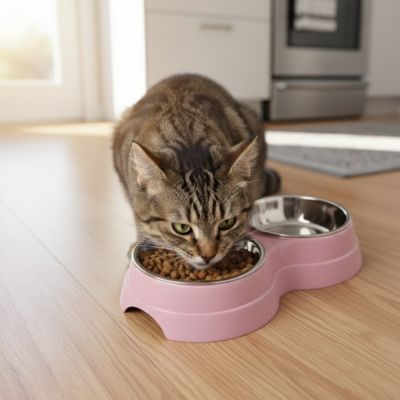 gamelle chat rose avec chat qui mange
