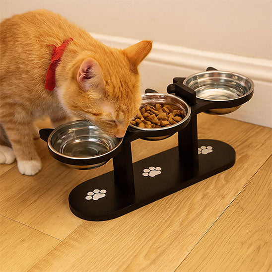 gamelle chat surelevee avec chat jaune