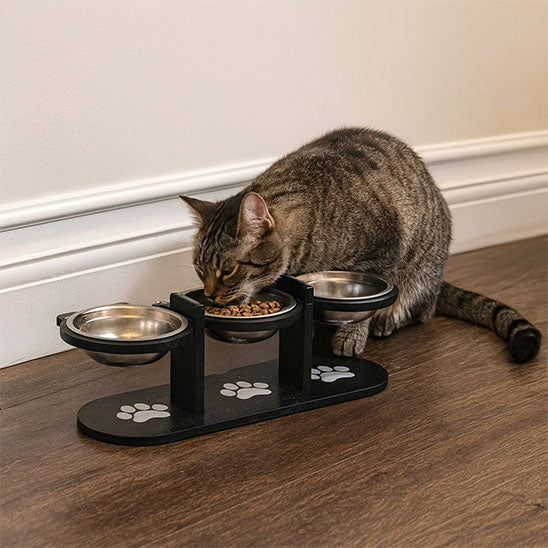 gamelle chat surelevee grandiose et pratique