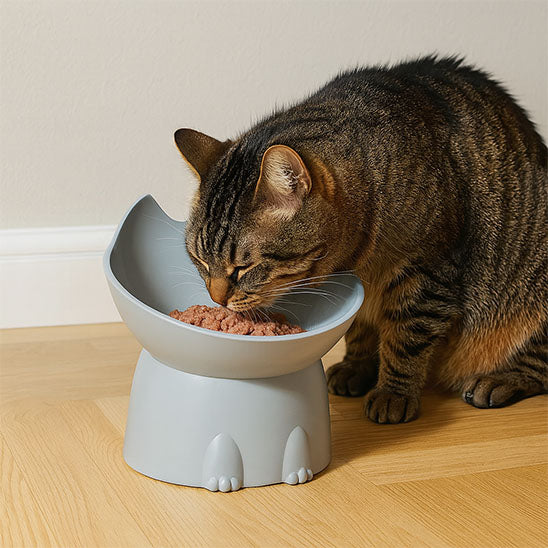 gamelle chat surelevee grise