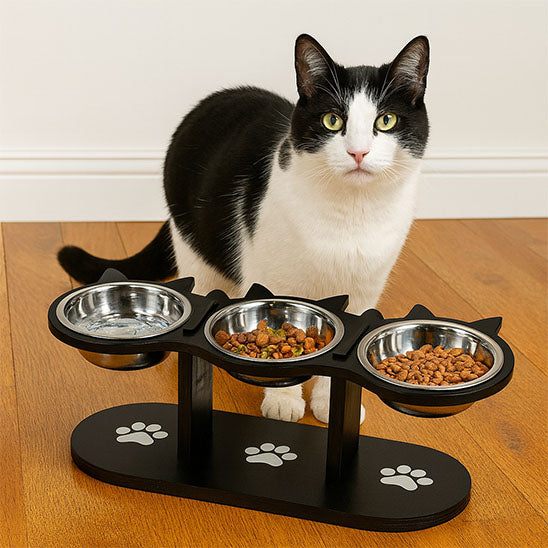 gamelle chat surelevee pratique et grandiose