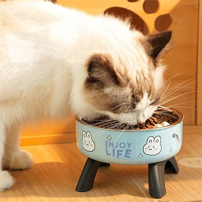 gamelle chat surelevee rond avec un beau chat