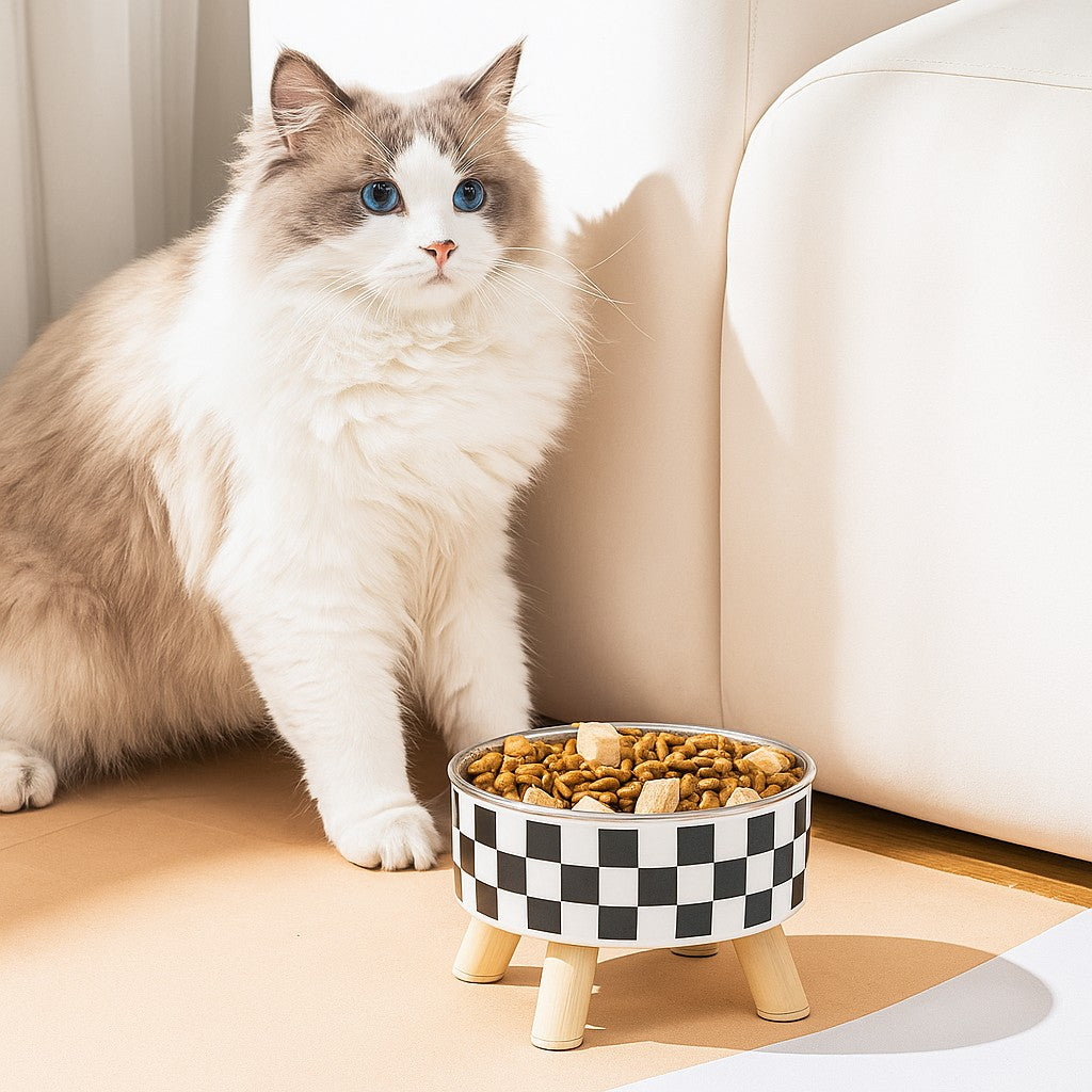 gamelle pour chat avec motif