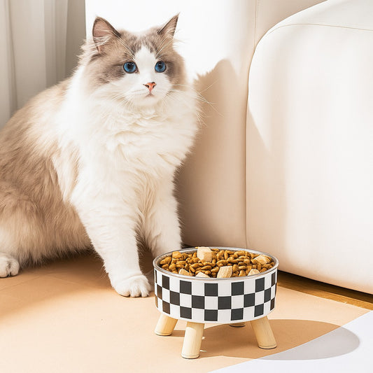 gamelle pour chat avec motif