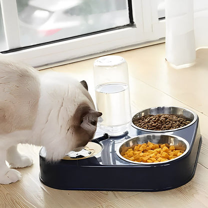 gamelle pour chat avec un chat blanc