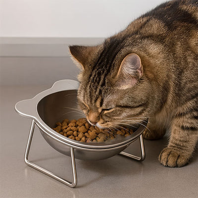 gamelle pour chat confortable