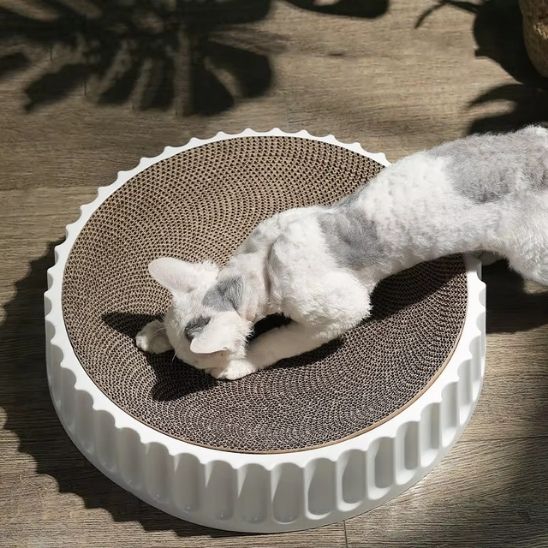 grattoir chat blanc