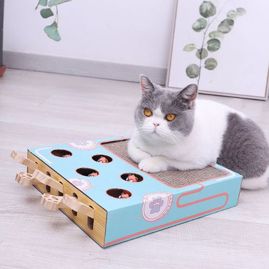 grattoir chat boite puzzle

