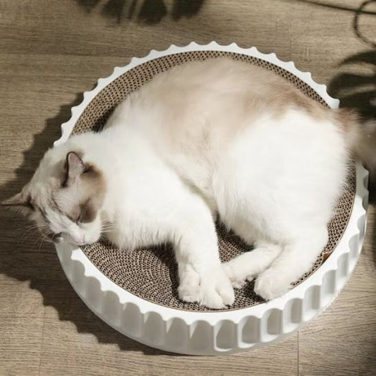 grattoir chat excellent pour les griffes