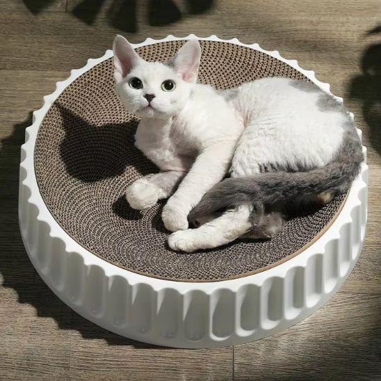 grattoir chat forme ronde