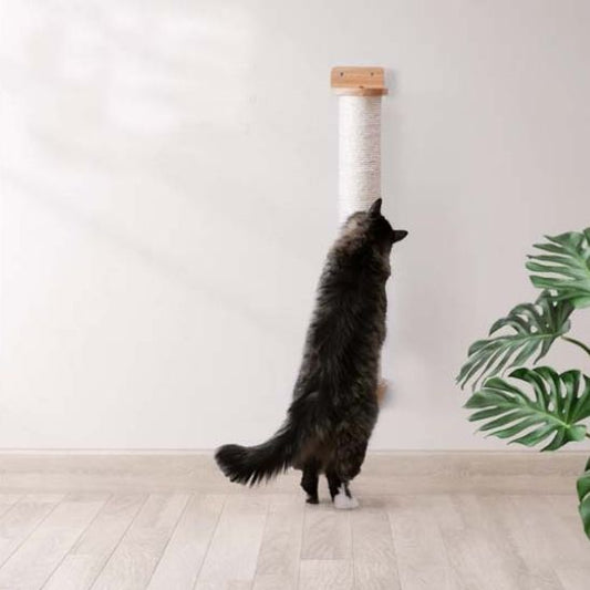 grattoir chat style pour votre maison