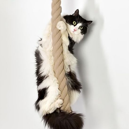 griffoir a chat corde murale