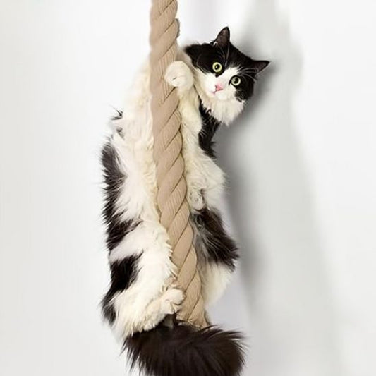 griffoir a chat corde murale