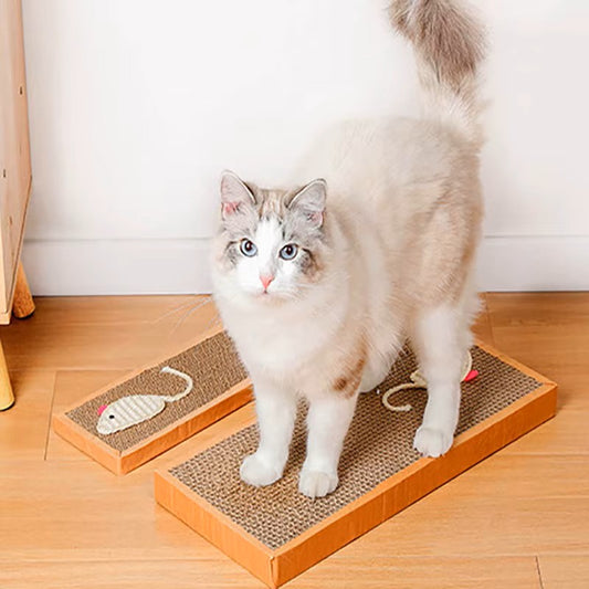 griffoir chat avec chat blanc