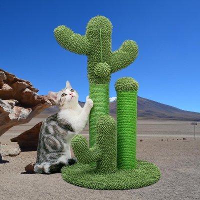 Griffoir chat | Cactus - Mon Jolie Chat