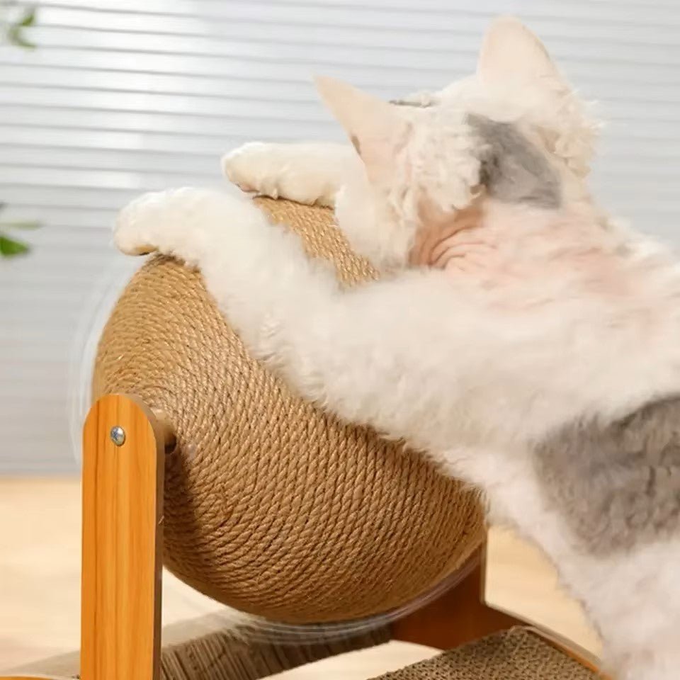 griffoir chat ultime pour votre félin préféré