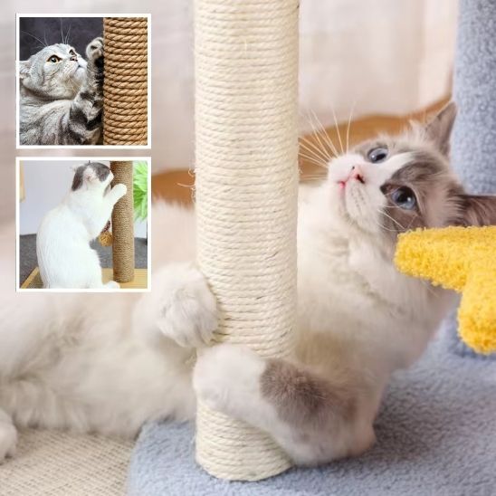 griffoir a chat pour bricoleur