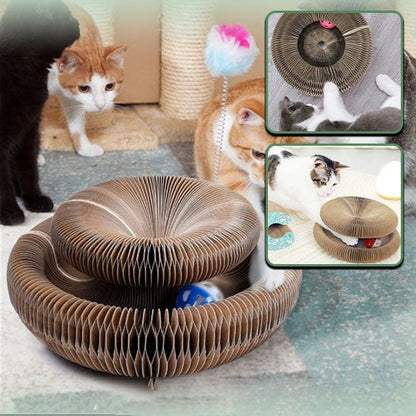 griffoir pour chat ultime pour votre félin préféré