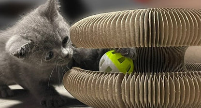 griffoir pour chat ultime pour votre félin préféré