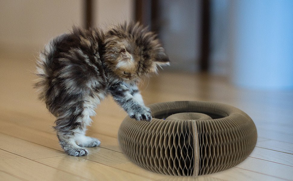 griffoir pour chat ultime pour votre félin préféré