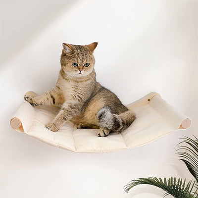 hamac chat beau avec chat brun