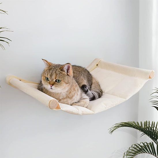hamac chat beau et rigide