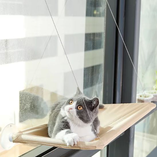 hamac chat fenetre beige et beau