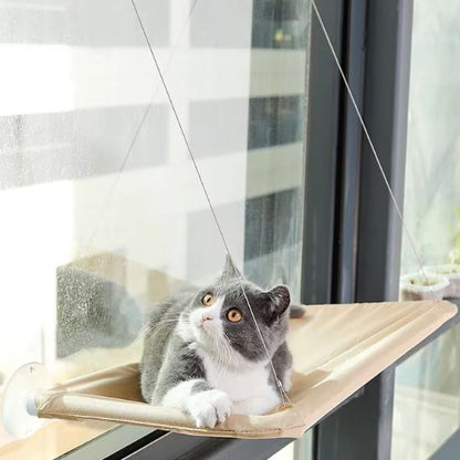 hamac chat fenetre beige et beau