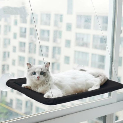 hamac chat fenetre beige et ludique